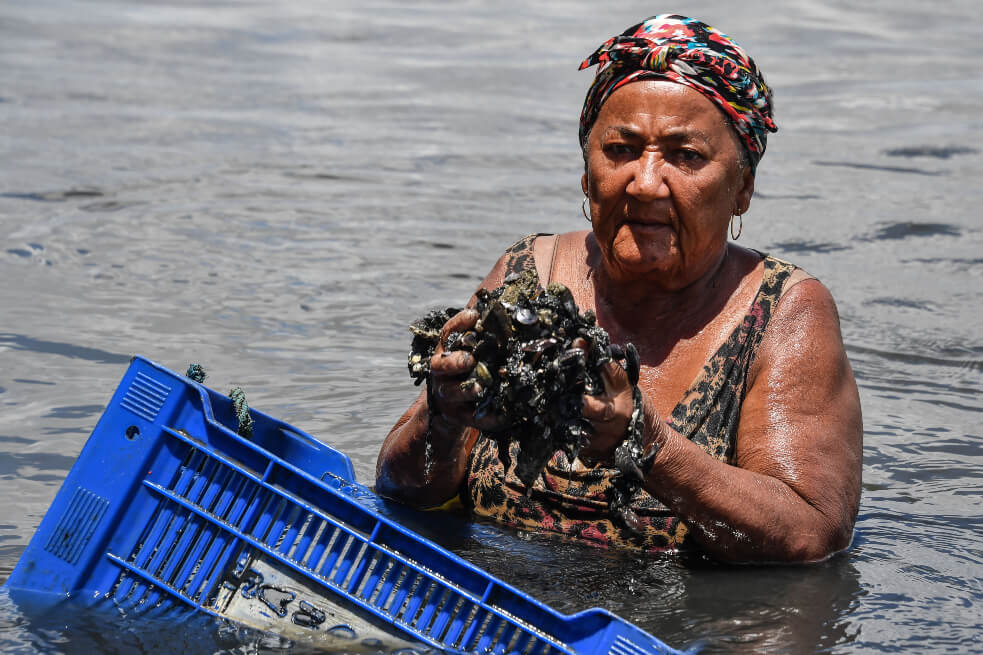 Venezuela o un barco griego, ¿de dónde salió el petróleo que causa crisis ambiental en Brasil?