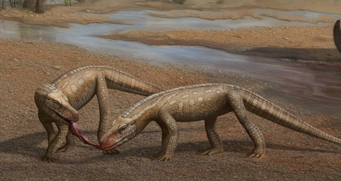 Descubrieron en Brasil a un pequeño reptil de hace 200 millones de años