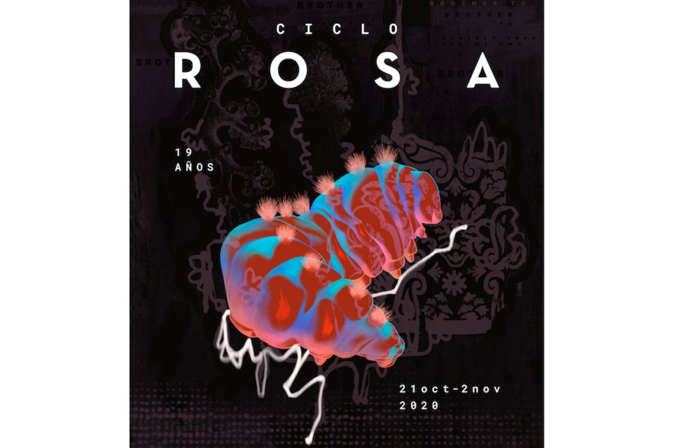 Ciclo Rosa 2020: 13 días para vivir la diversidad a través del cine