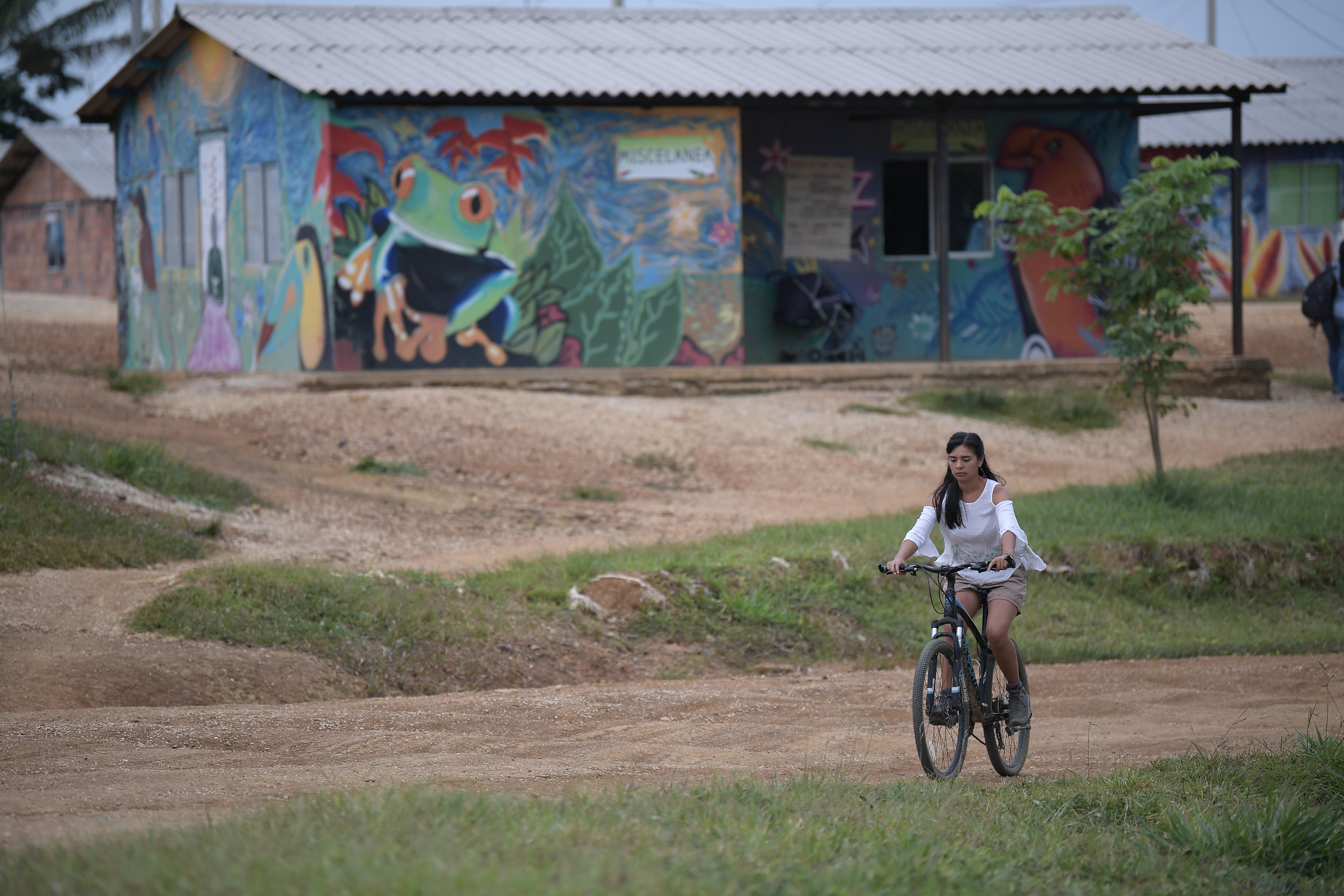Diferentes aspectos de este espacio de reincorporación del Caquetá: Habitantes, animales, casas.