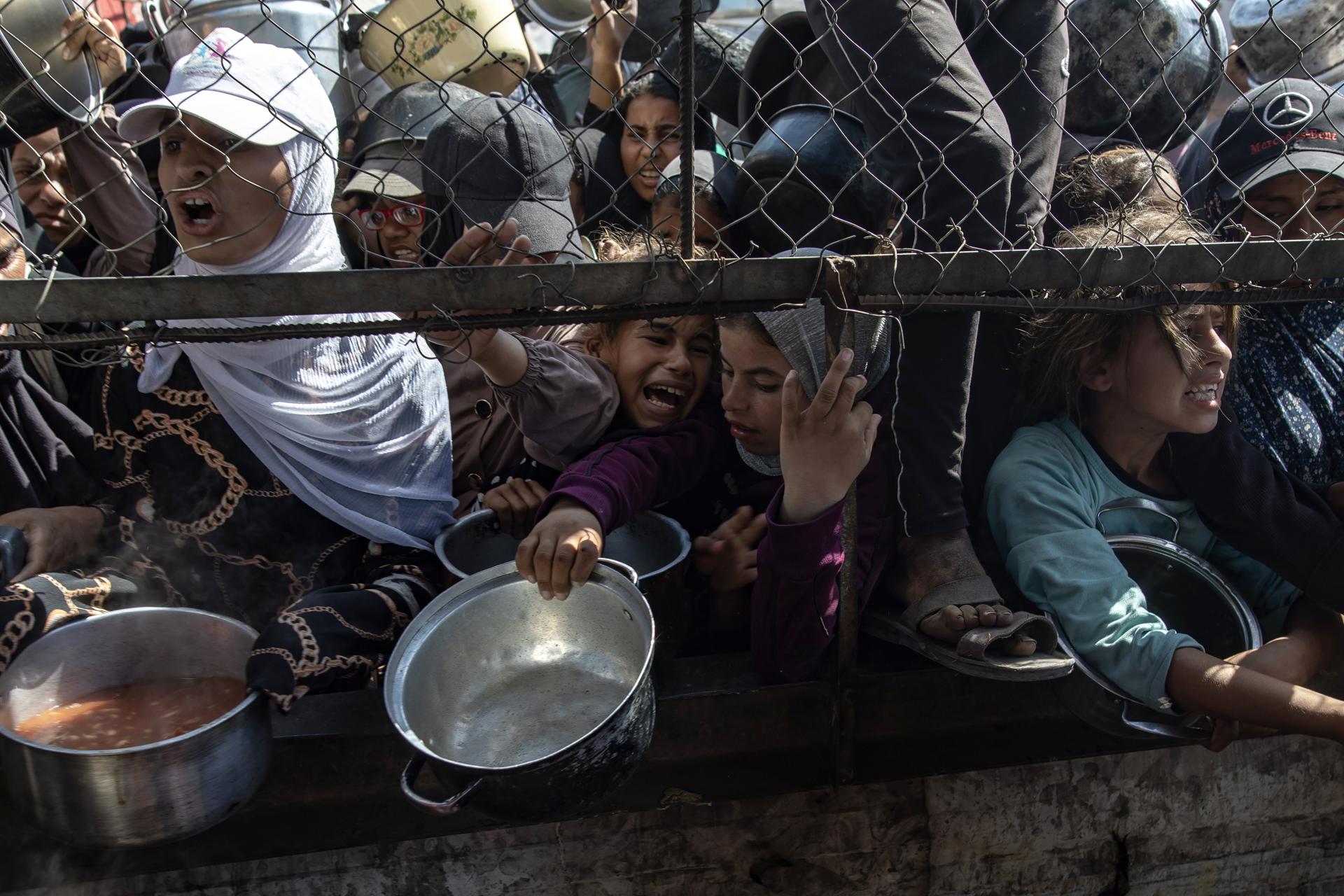 El hambre “no disminuye”: esto dijo la OMS sobre la falta de apoyo en Gaza