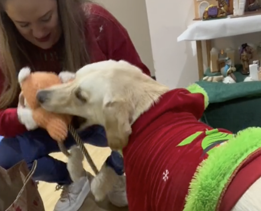 En video: la tierna reacción de un perrito al recibir su regalo de Navidad