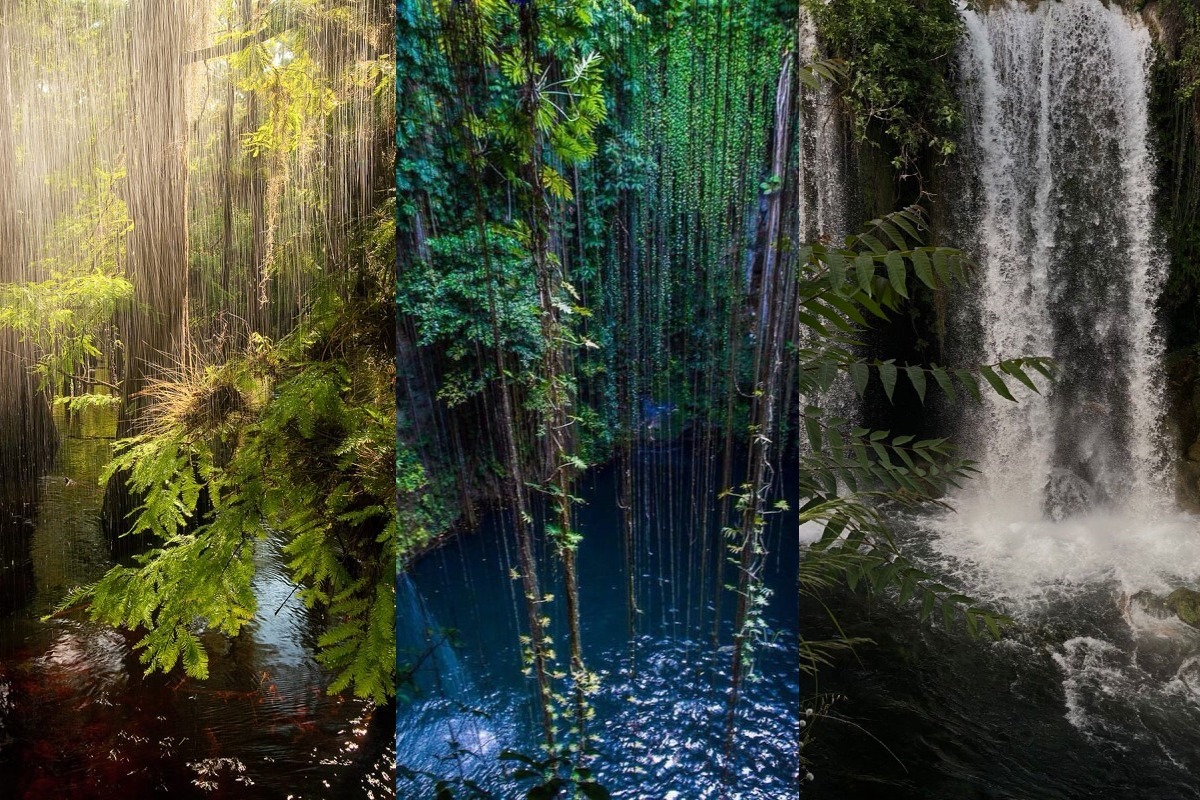 Estos son los 5 lugares más lluviosos del mundo. Te sorprenderá la cantidad de agua que puede caer por año ¡Nunca para de llover!