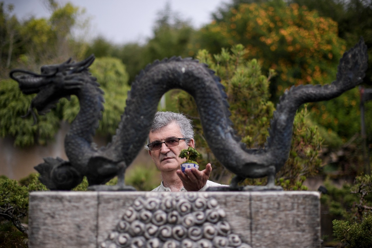 "El dragón en Oriente es algo como lo que son para nosotros los ángeles. Son el símbolo de la protección, del los sueños, de lo que está arriba", Merceano Melo.