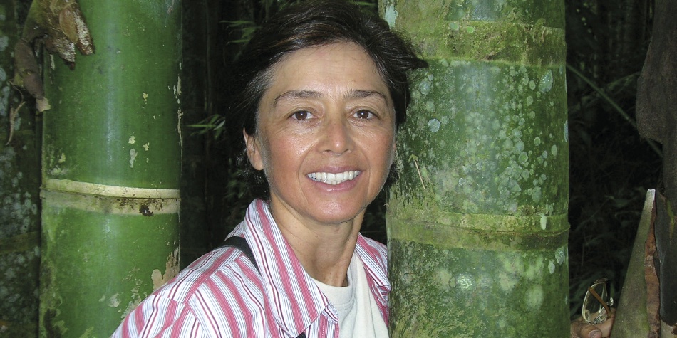Ximena Londoño, la reina del bambú
