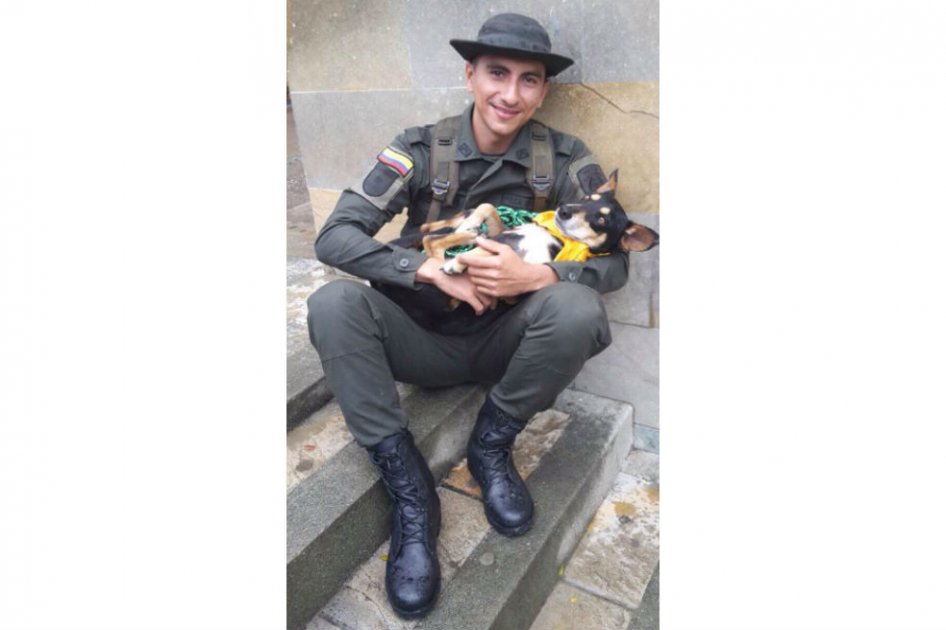 General Palomino condecorará a policías que salvaron a perro en Salgar