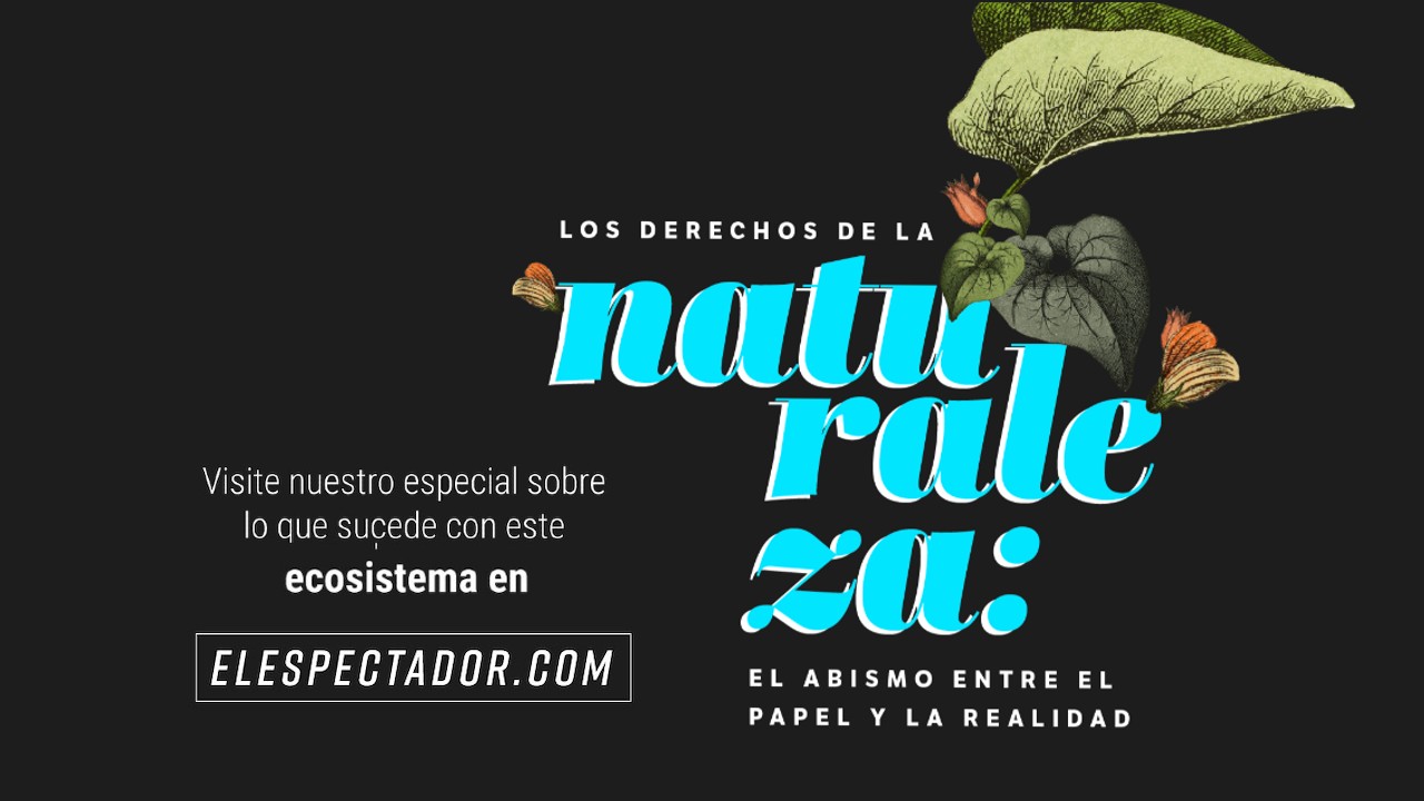 Especial "Derechos de la naturaleza: el abismo entre el papel y la realidad".