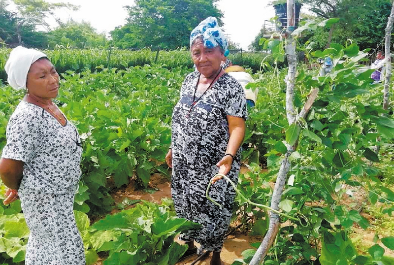 El camino hacia la equidad de género en la ruralidad