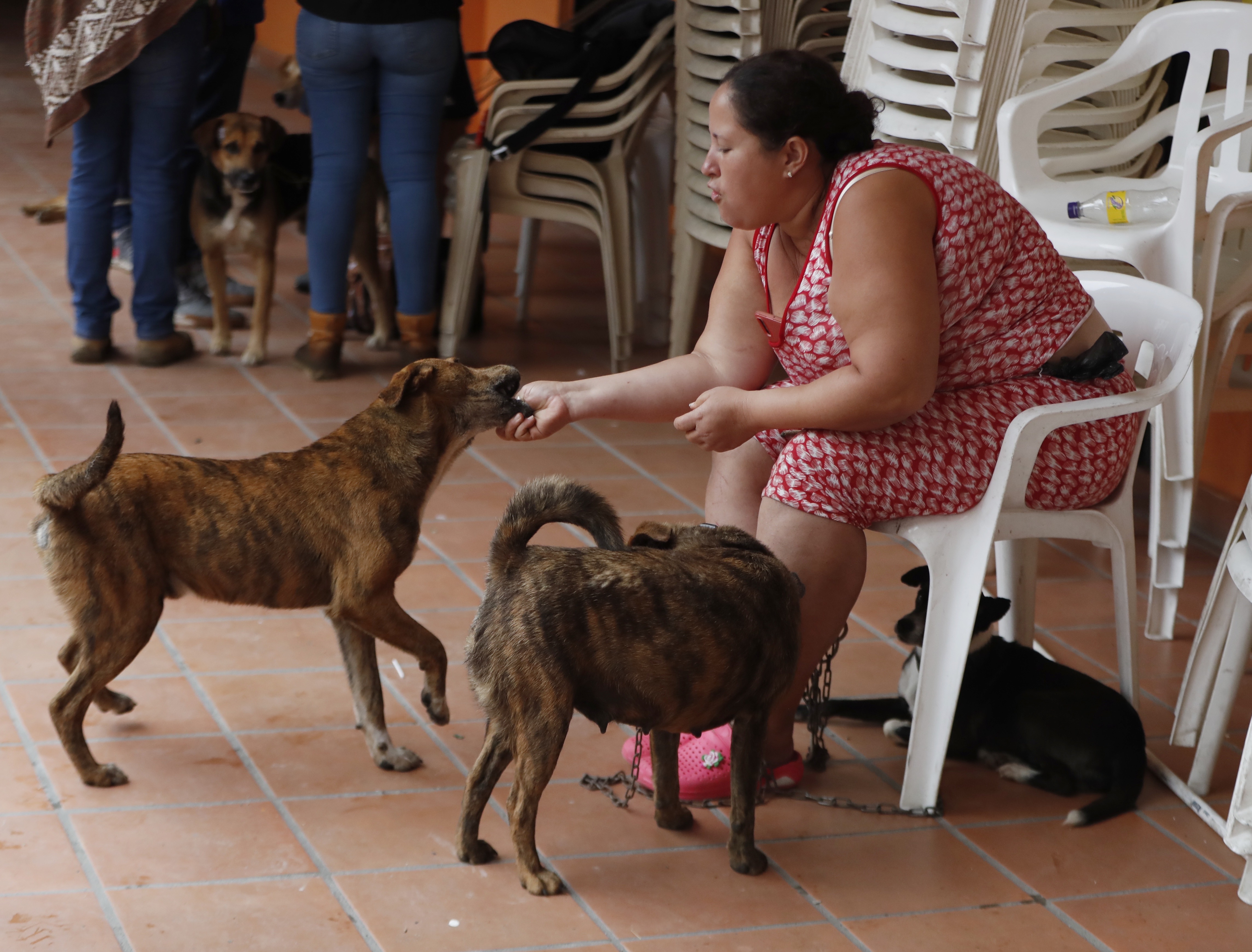Hay ocho posibles predios para reubicar a damnificados en Rosas (Cauca)