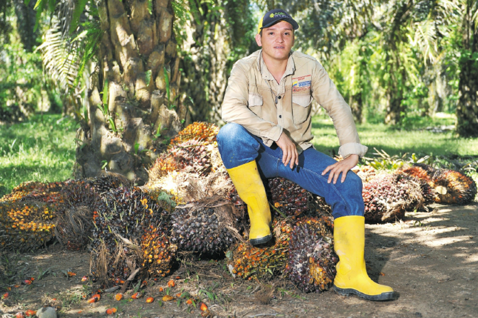 En Simití se cultiva la reconciliación