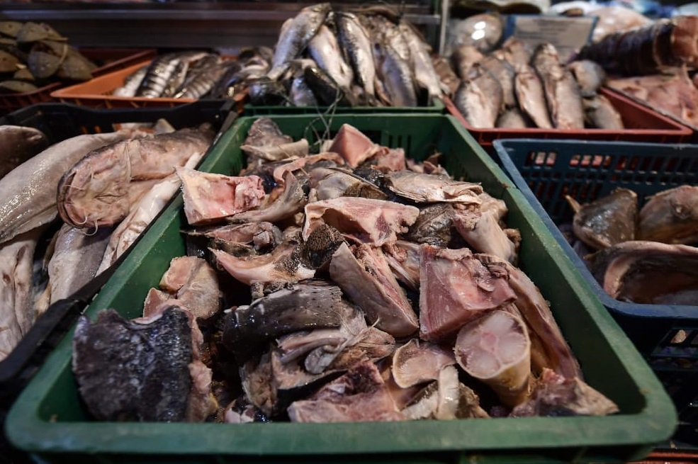 La Alcaldía Local de Kennedy realizó operativo contra la venta de pescado en malas condiciones en el barrio María Paz y la Plaza de las Flores.