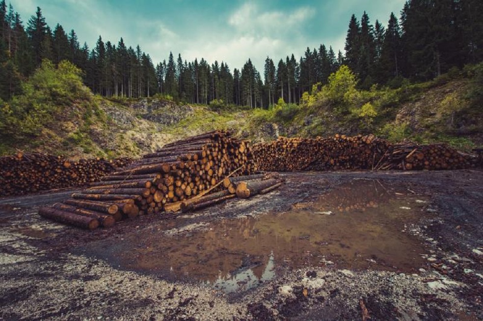 La biodiversidad se sigue deteriorando peligrosamente en todas las regiones del mundo