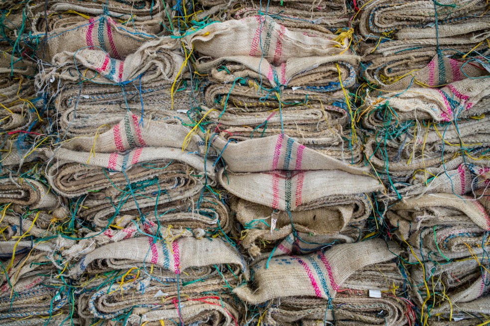 En octubre, la producción cafetera cayó 23 %