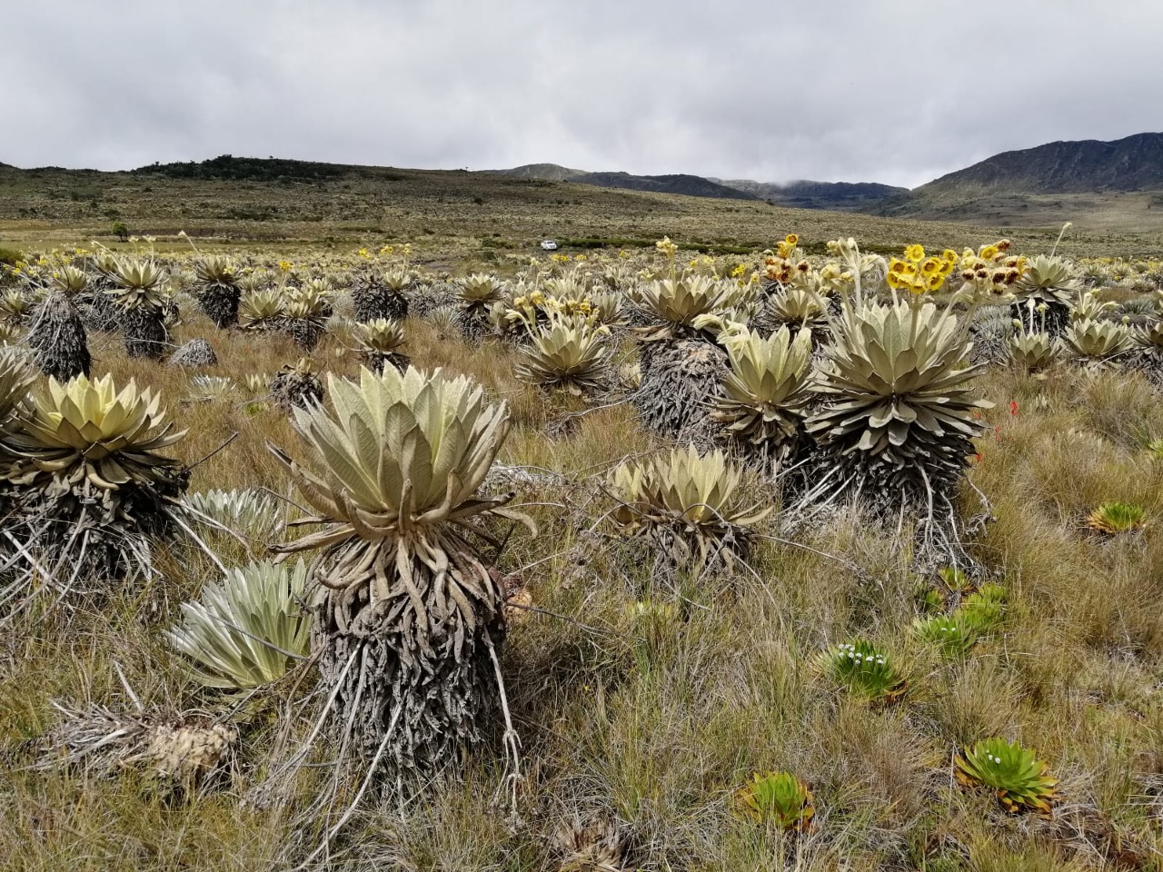 La CAR suspende el tránsito de carros 4X4 y motos en el Páramo de Rabanal, Boyacá