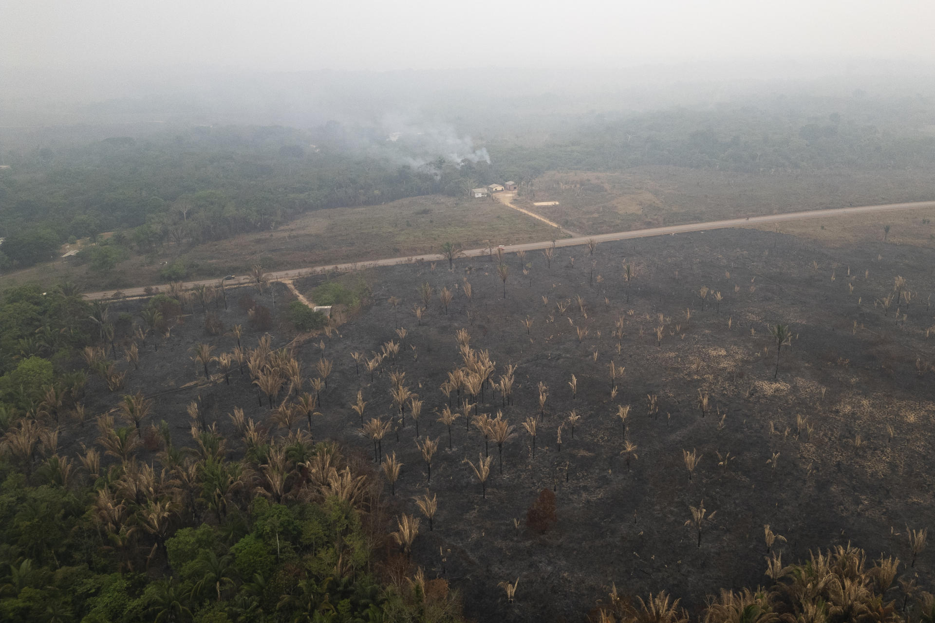 La deforestación en Colombia creció frente a 2024: en 2025 el país perdió 119.000 hectáreas
