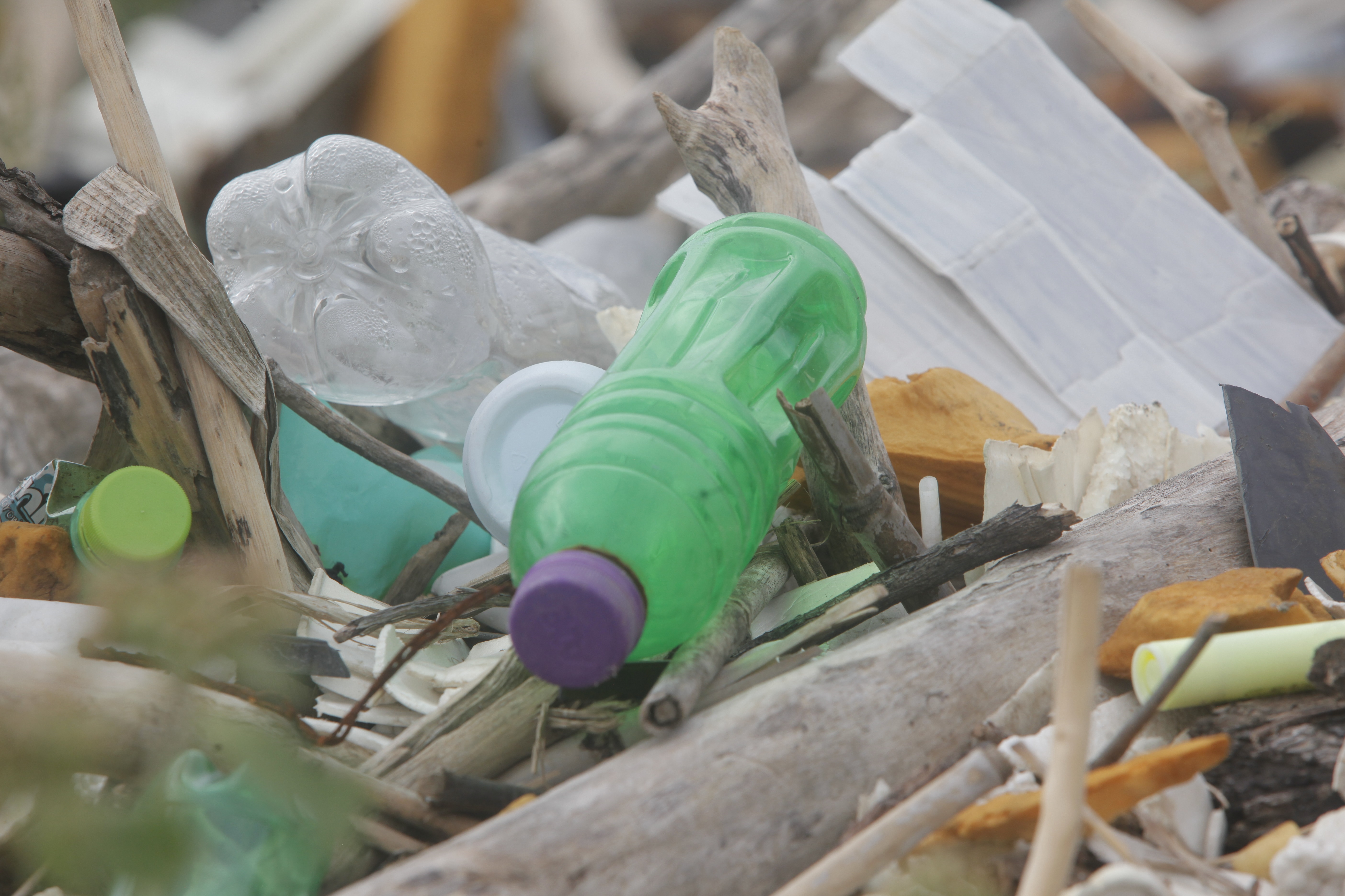 Aprueban proyecto de ley que prohíbe plásticos de un solo uso