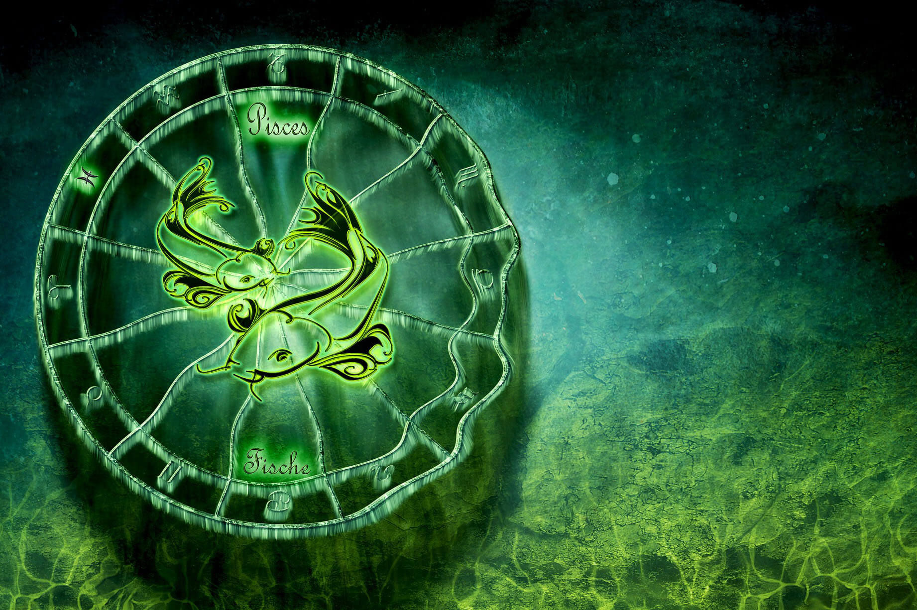 Lo que no sabes de los piscis