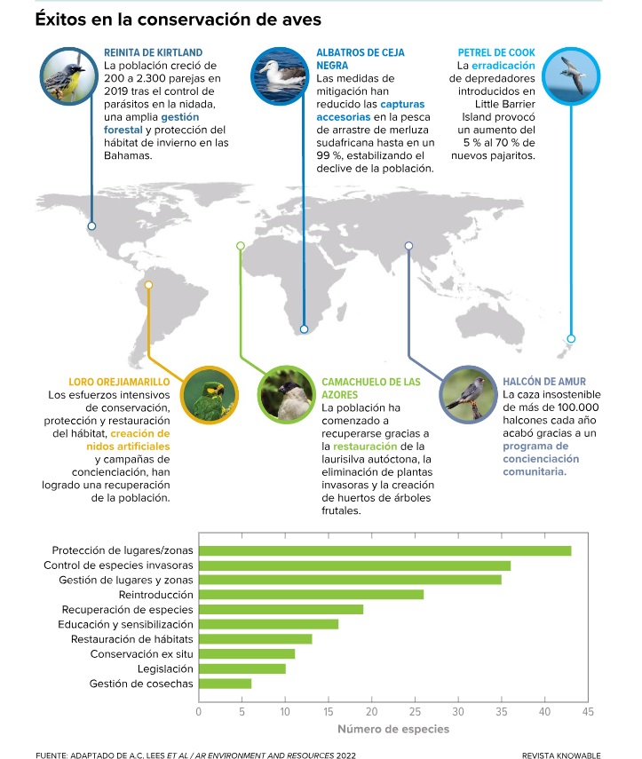 Estos son algunos casos de éxito de conservación de aves.