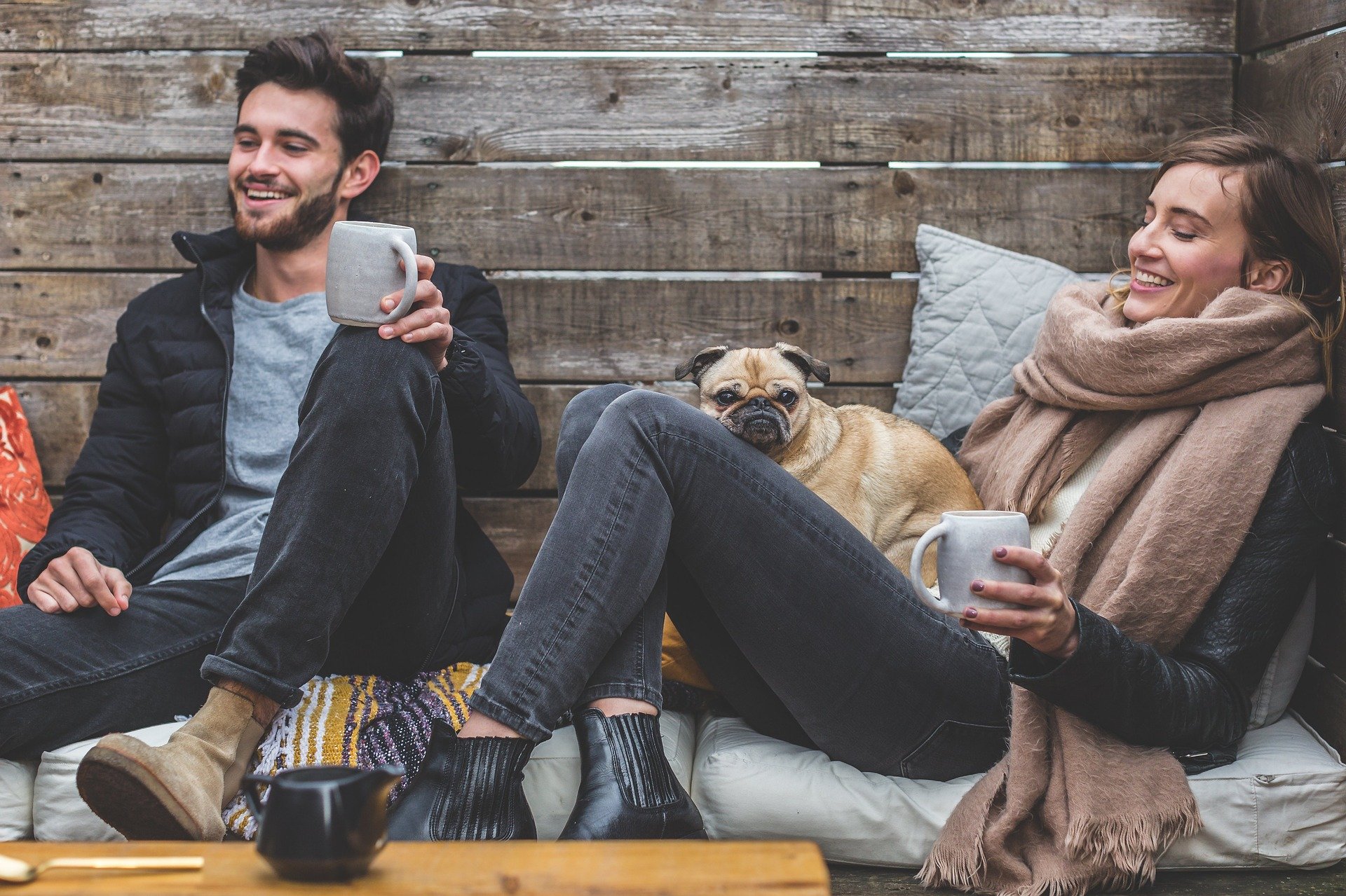 ¿Un paseo con su amigo de cuatro patas? Consejos para viajar con perro
