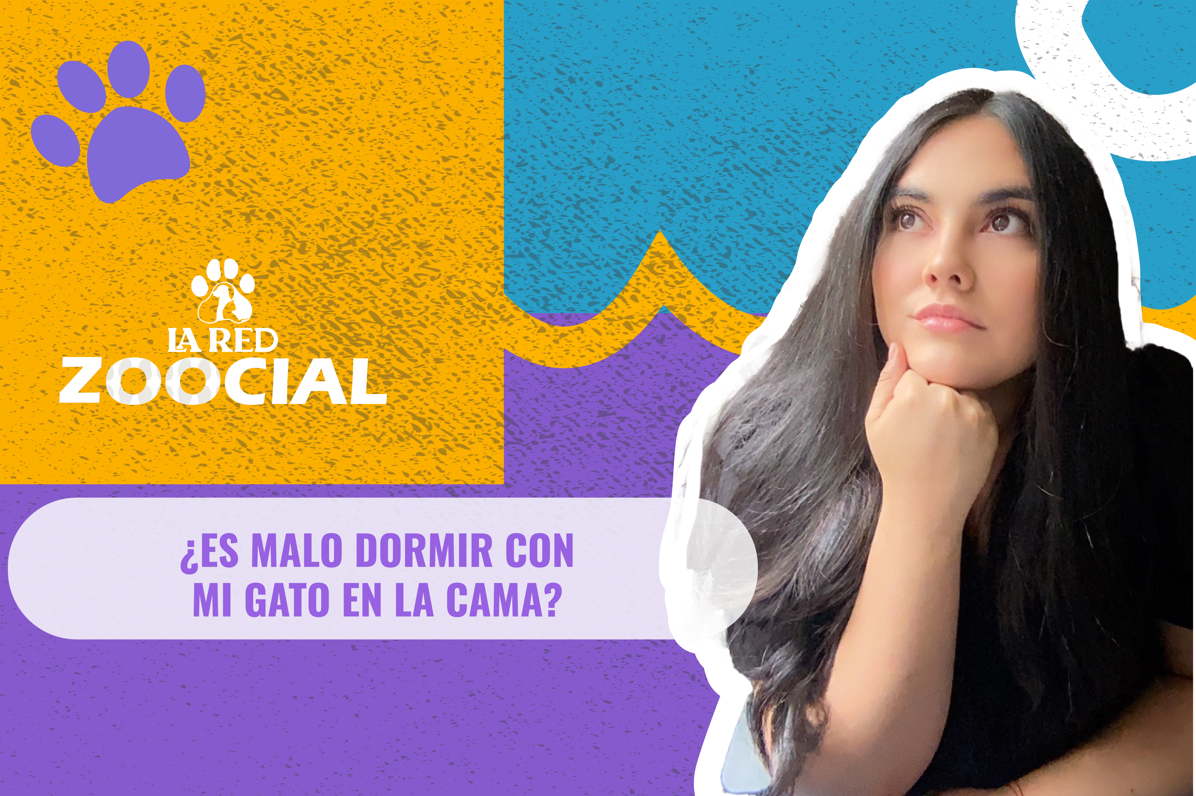 (Video) ¿Es malo dormir con mi gato en la cama?