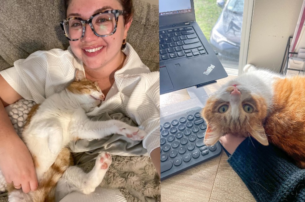 Phoebe se adaptó rápidamente a su nuevo hogar.