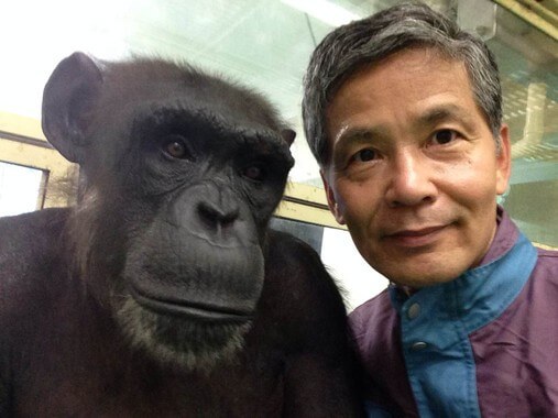 “Humanos y chimpancés somos casi la misma criatura”