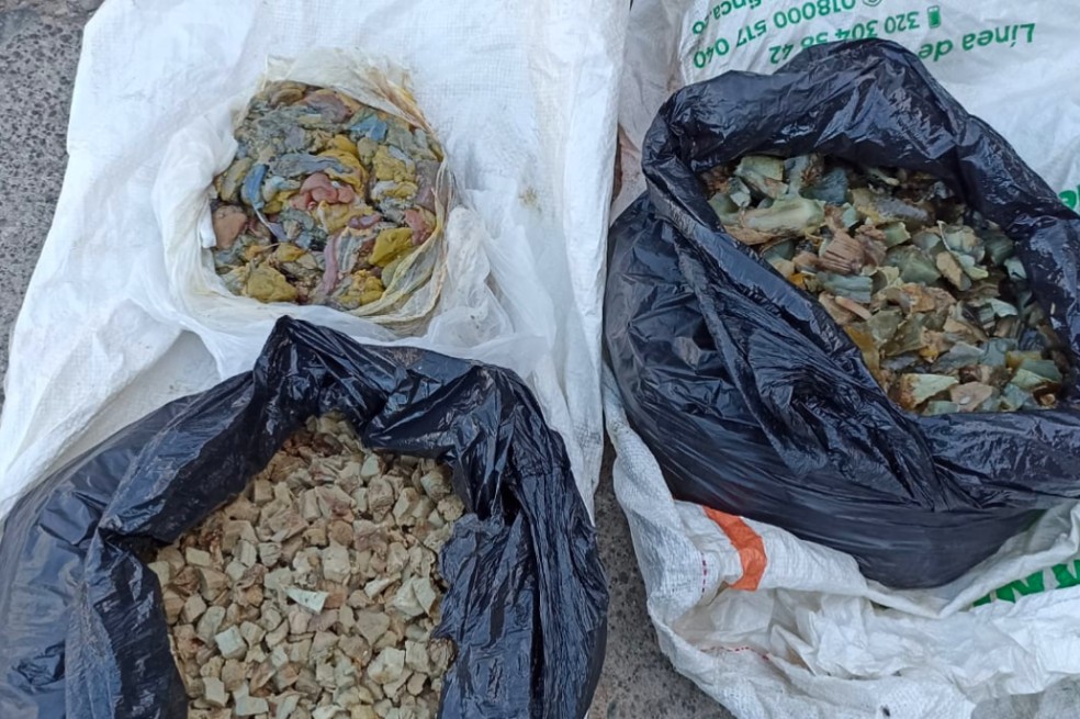 Incautan 25 libras de carne de tortuga y 38 conejos en vías de La Guajira