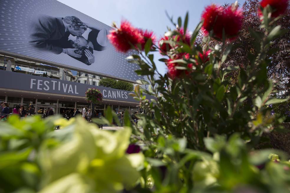 Festival de Cannes, ¿Quién seduce a quién?
