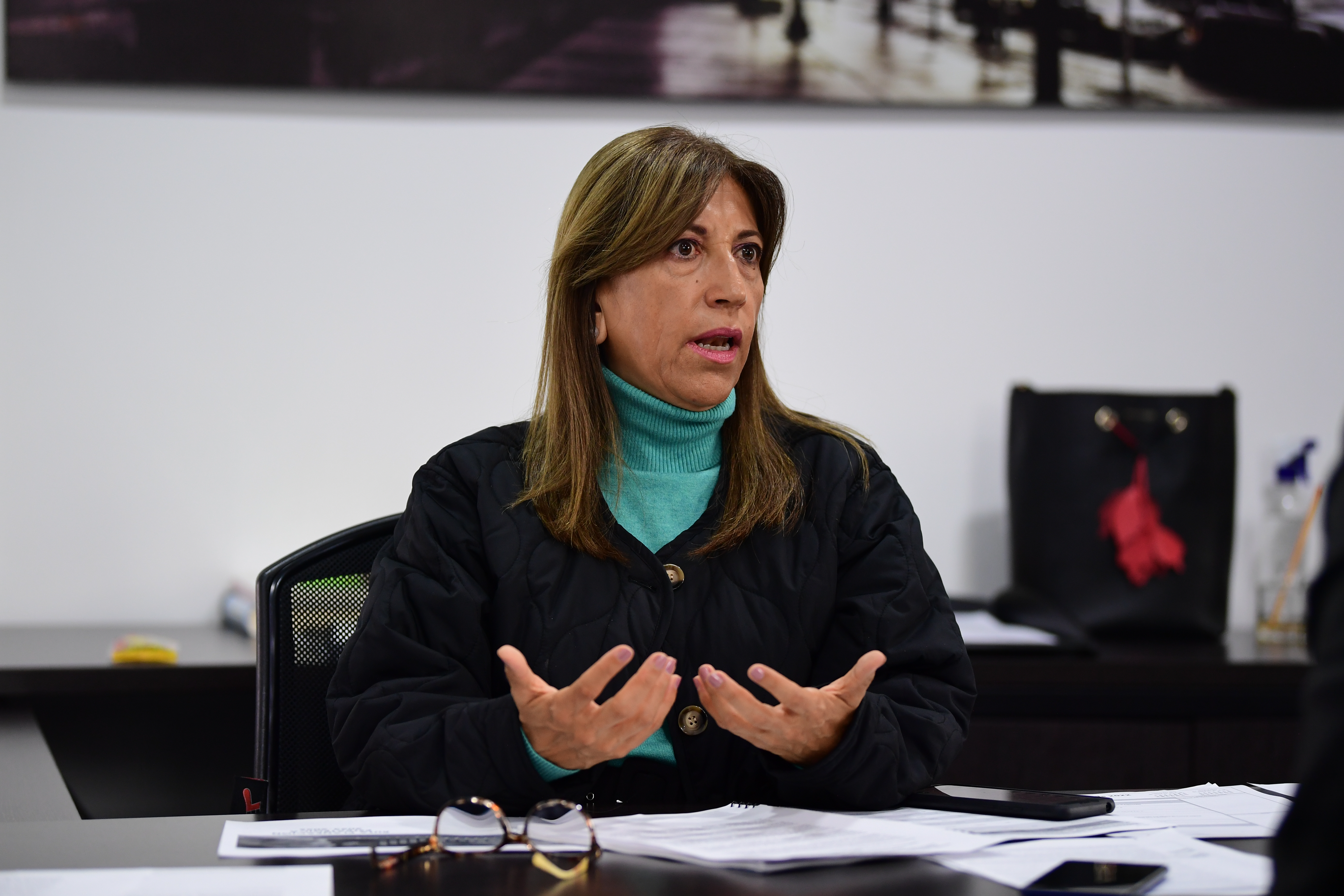 Directora Agencia Nacional de Defensa Jurídica Del Estado