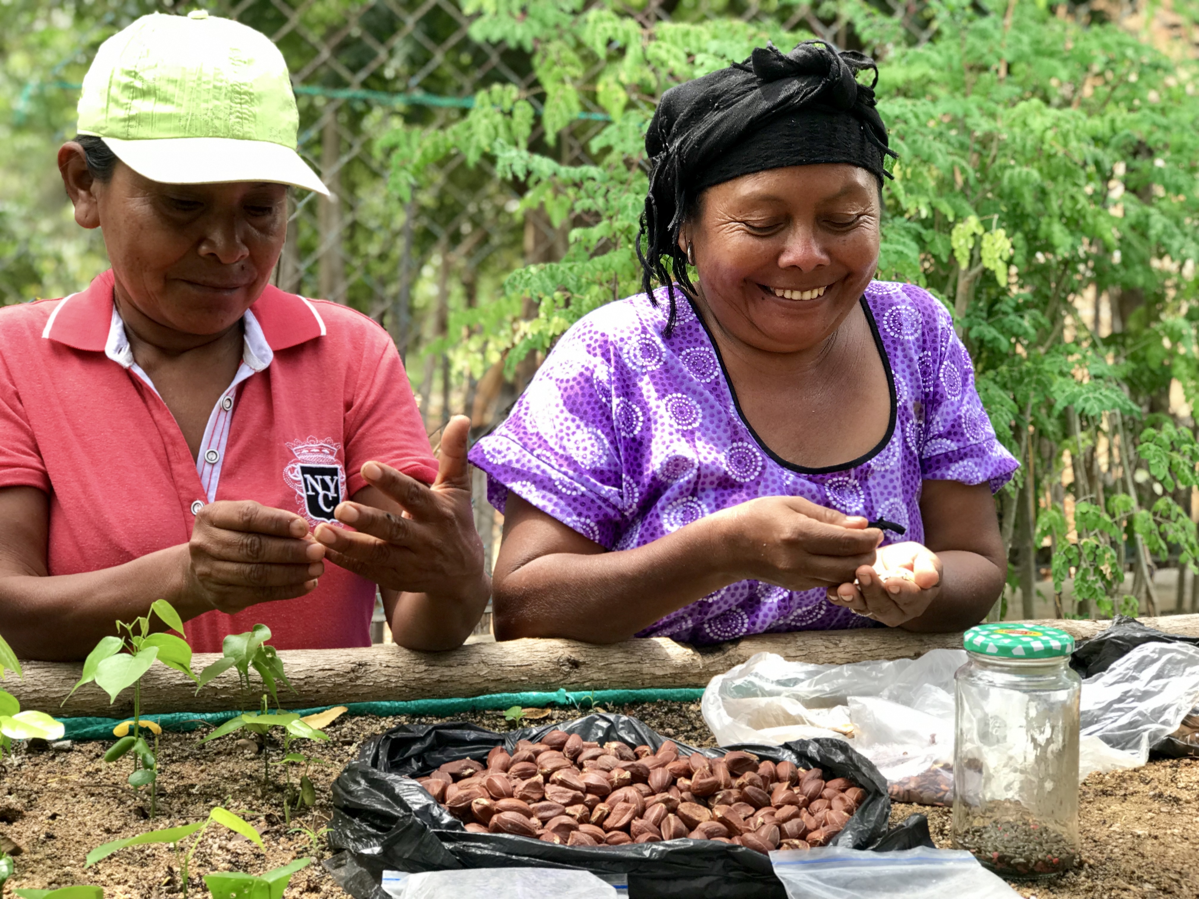 Construyendo una red de viveros para el bosque seco tropical en La Guajira.