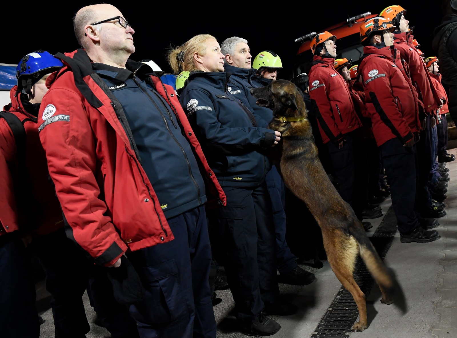 En fotos: perros de rescate integran equipos de búsqueda tras terremoto en Turquía