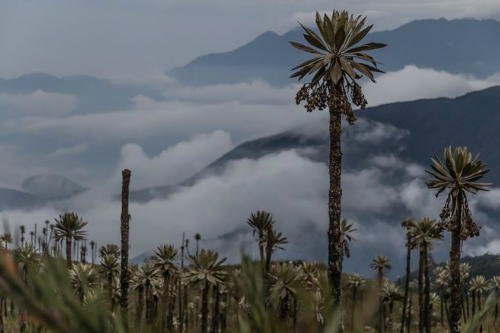 Colombia, el país de Latinoamérica que encabeza en la Lista Verde de áreas protegidas de la UICN