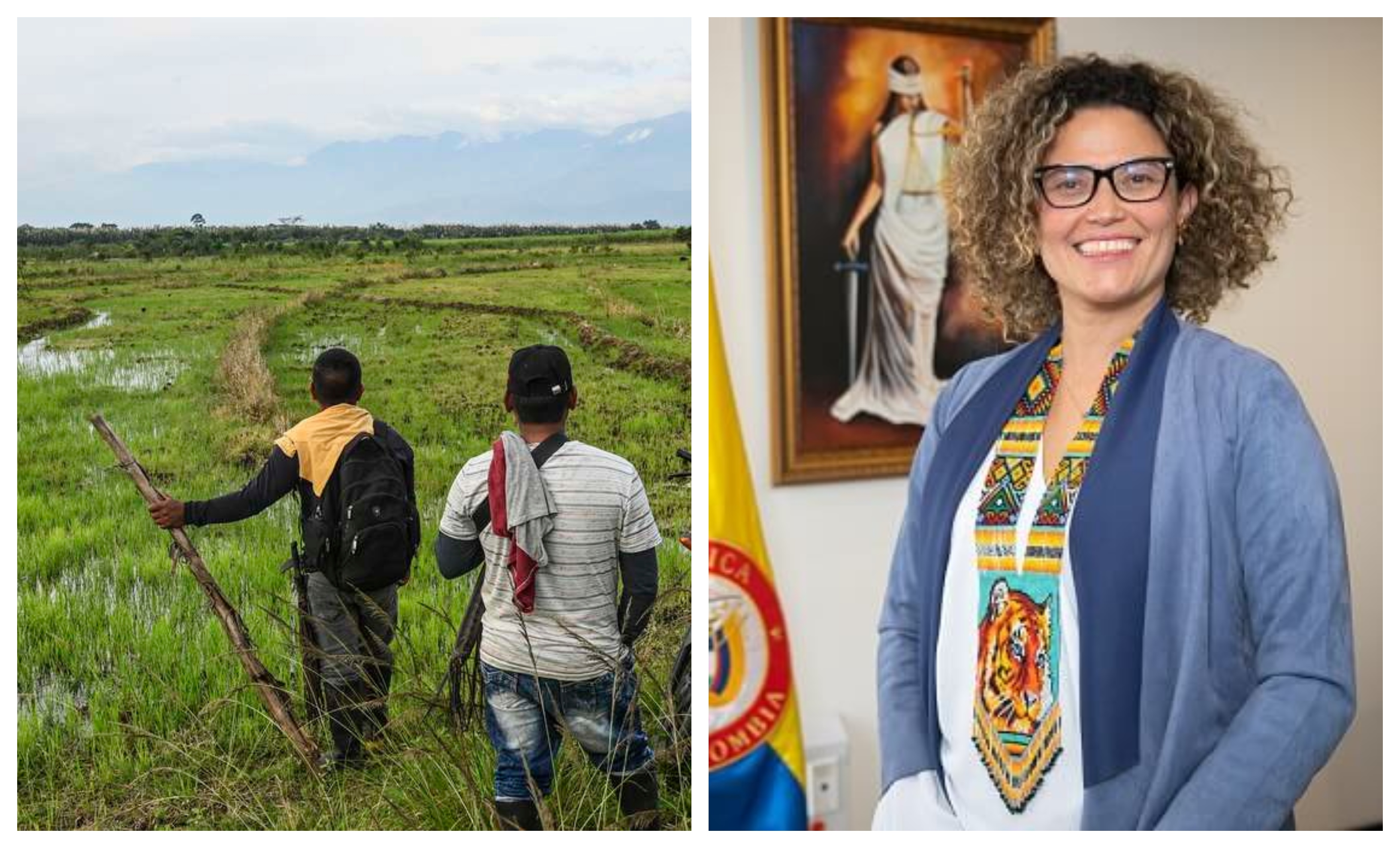 Buscamos que los campesinos resuelvan sus problemas en la justicia: gobierno Petro