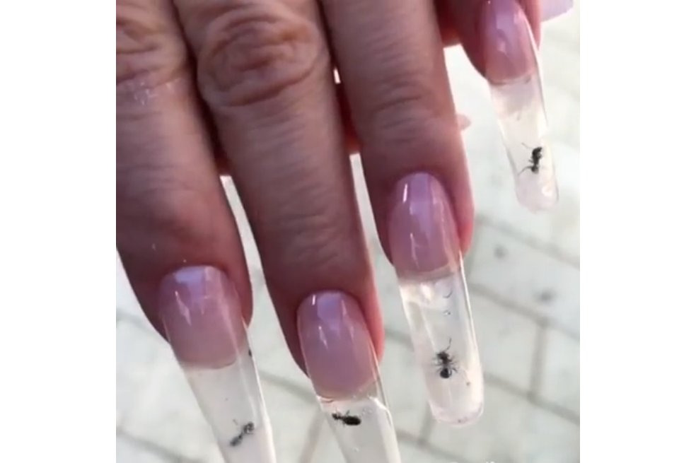 ¿Hormigas atrapadas en uñas acrílicas? La propuesta de un salón de belleza