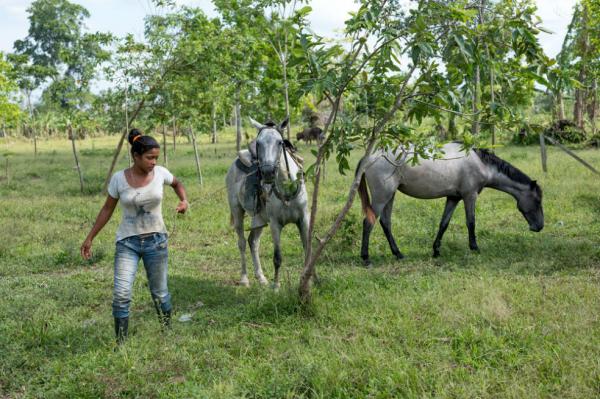 Piden que Colombia firme acuerdo internacional para proteger a líderes ambientales