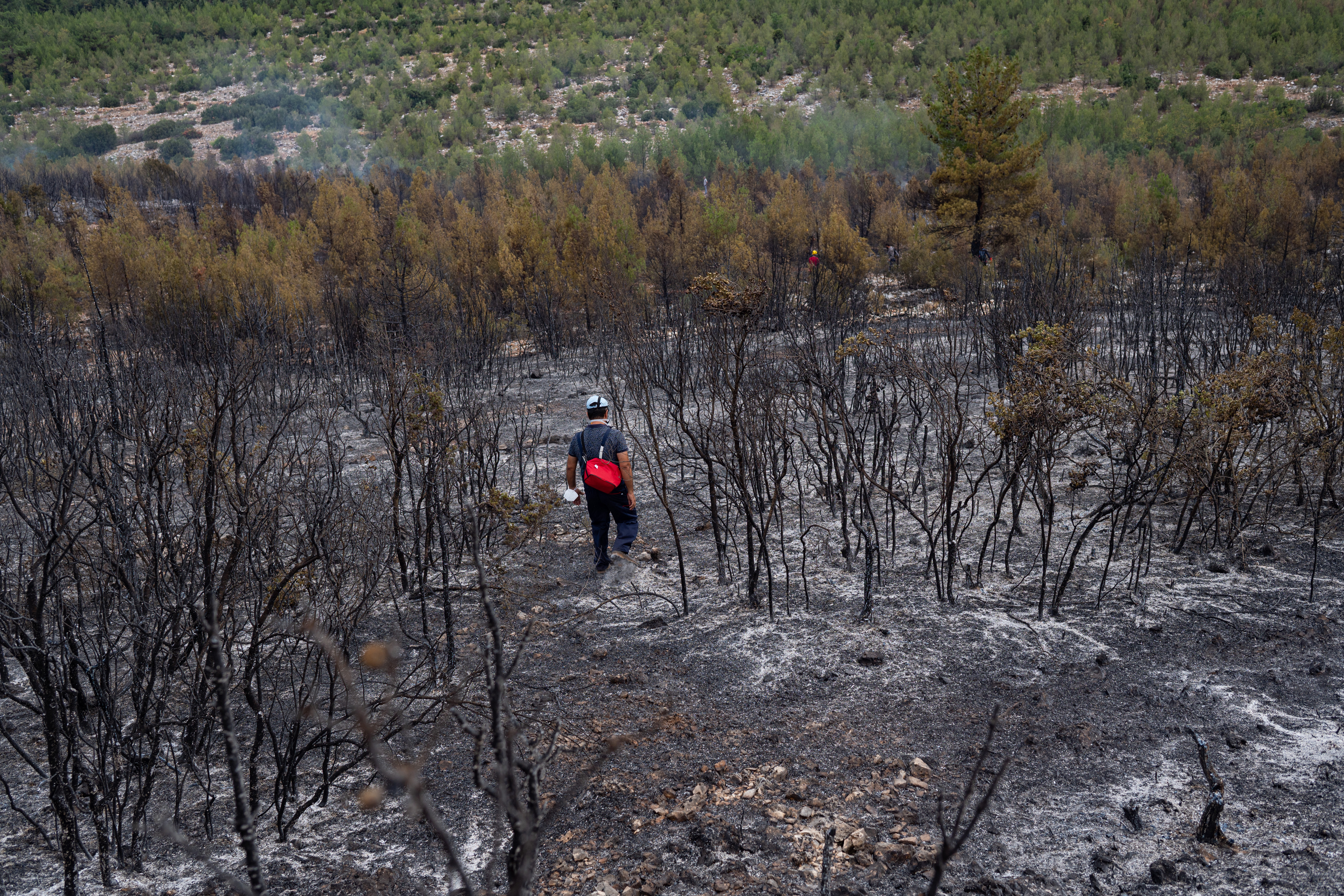 Al menos ocho personas han muerto, y miles se vieron obligadas a evacuar, incluidos turistas, por la rápida propagación de los incendios.