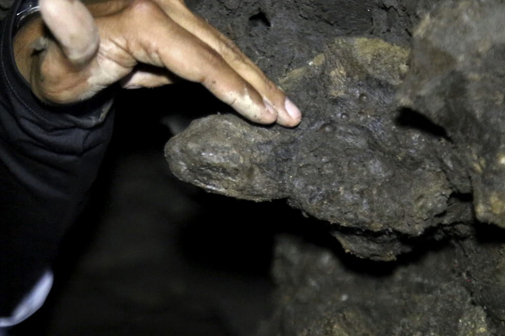 Hallan restos fósiles de un mastodonte en Risaralda
