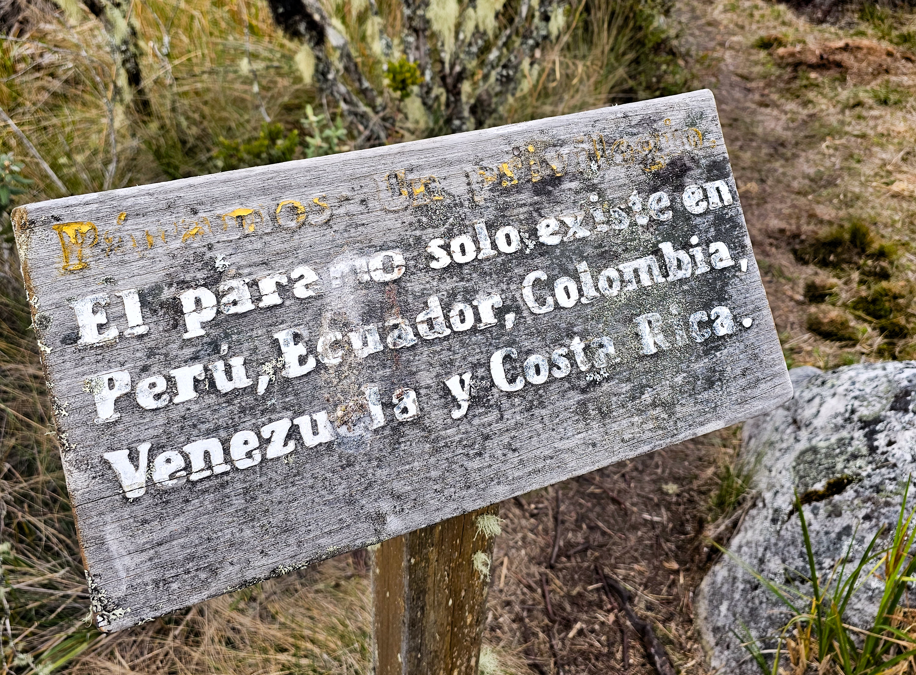 A lo largo del recorrido hay varios puntos con avisos informativos. En estos espacios, los guías retoman y explican de manera reiterada la importancia del ecosistema que se visita, destacando por qué su protección es fundamental y cómo cada visitante puede contribuir a su conservación.