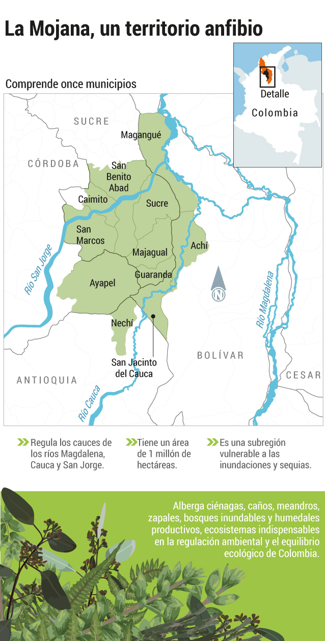 La Mojana es una subregión, ubicada entre Sucre, Córdoba, Bolívar y Antioquia.