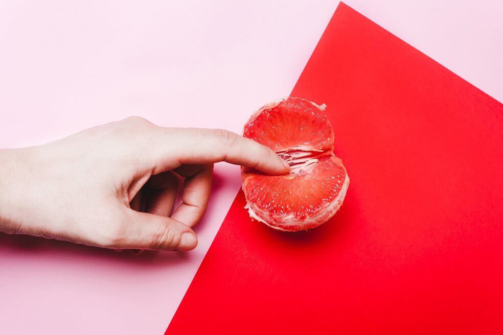 Pussypedia, la enciclopedia en línea sobre la vagina