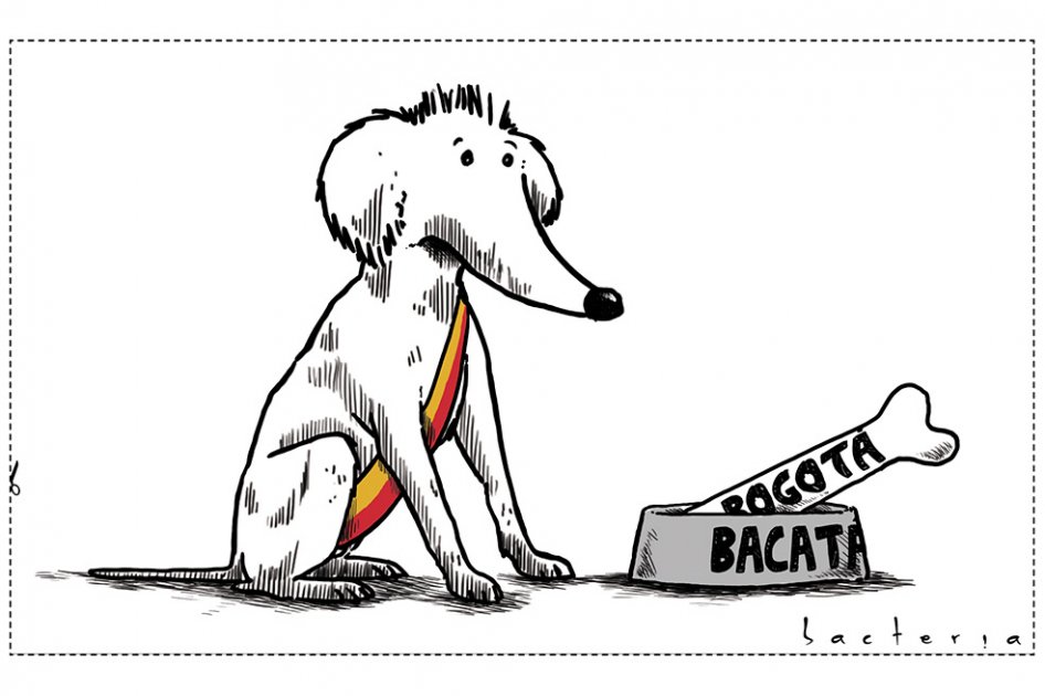 Bacatá y su hueso