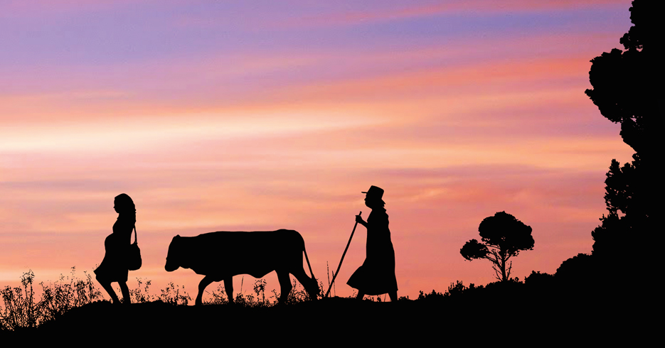 ¿Por qué debes ir a ver la película colombiana ‘Dos mujeres y una vaca’?