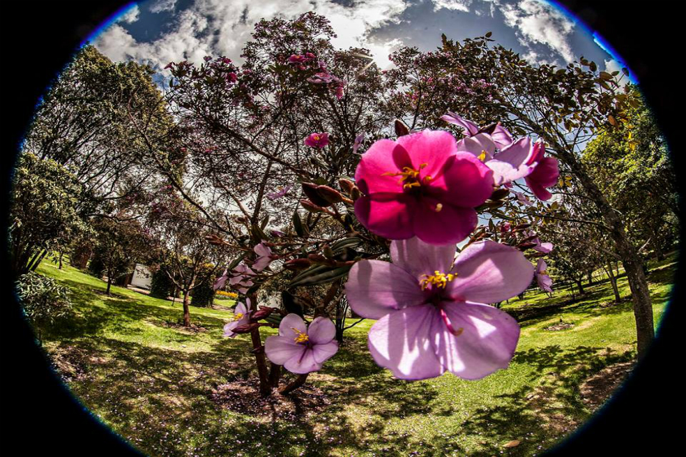 Imágenes que lo invitan a recorrer el Jardín Botánico de Bogotá, el más grande del país