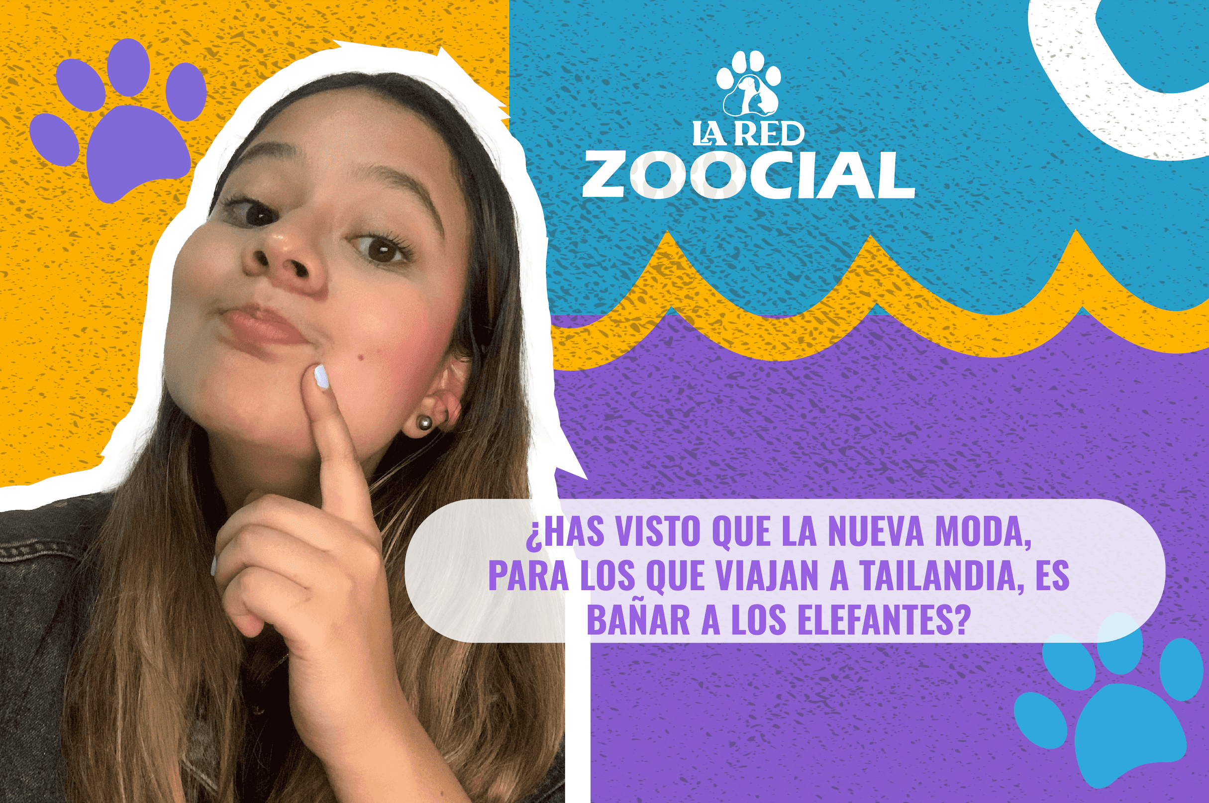 La nueva tendencia en turismo es bañar elefantes: ¿Esto es bueno o malo?