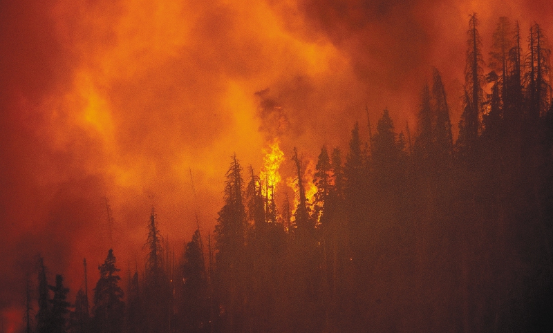 2021: otro año en el que se rompen récords de temperatura por el cambio climático