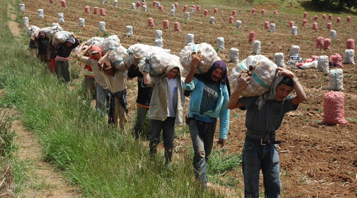 Ya existe un régimen diferencial para el campo, pero este no se cumple porque la informalidad rural supera el 85 %.
