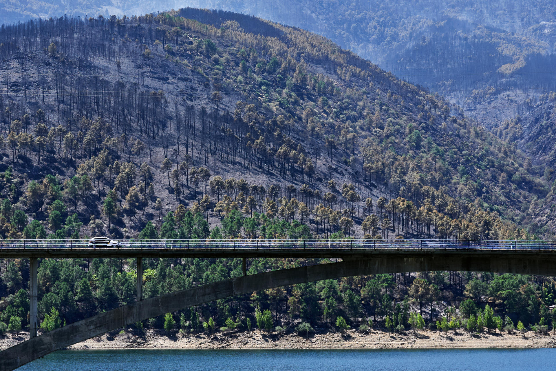 FOTODELDÍA NAVALUENGA (ÁVILA), 26/07/2026.- Paisaje quemado en el Parque Natural del Valle de Iruelas arrasado por el incendio de Burgohondo (Ávila) este domingo. Miles de efectivos trabajan para tratar de controlar el avance de las llamas en los complejos incendios que azotan parte de la Comunidad de Madrid y de la provincia de Ávila, donde el fuego ya ha quemado unas 45.000 hectáreas y ha afectado a más de 115.000 personas, en una jornada en la que el Gobierno ha asumido también la coordinación del siniestro de Almorox (Toledo), mientras otro incendio en la Vall d'Uixò (Castellón) sigue descontrolado y ha obligado a desalojar a unos 15.000 vecinos. EFE/Raúl Sanchidrián