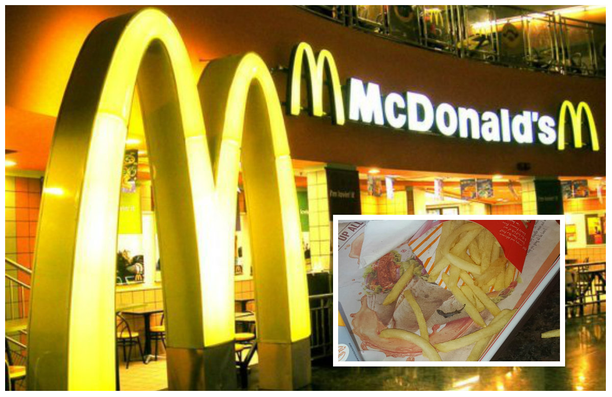 Encuentran un lagarto en unas papas fritas de McDonald’s