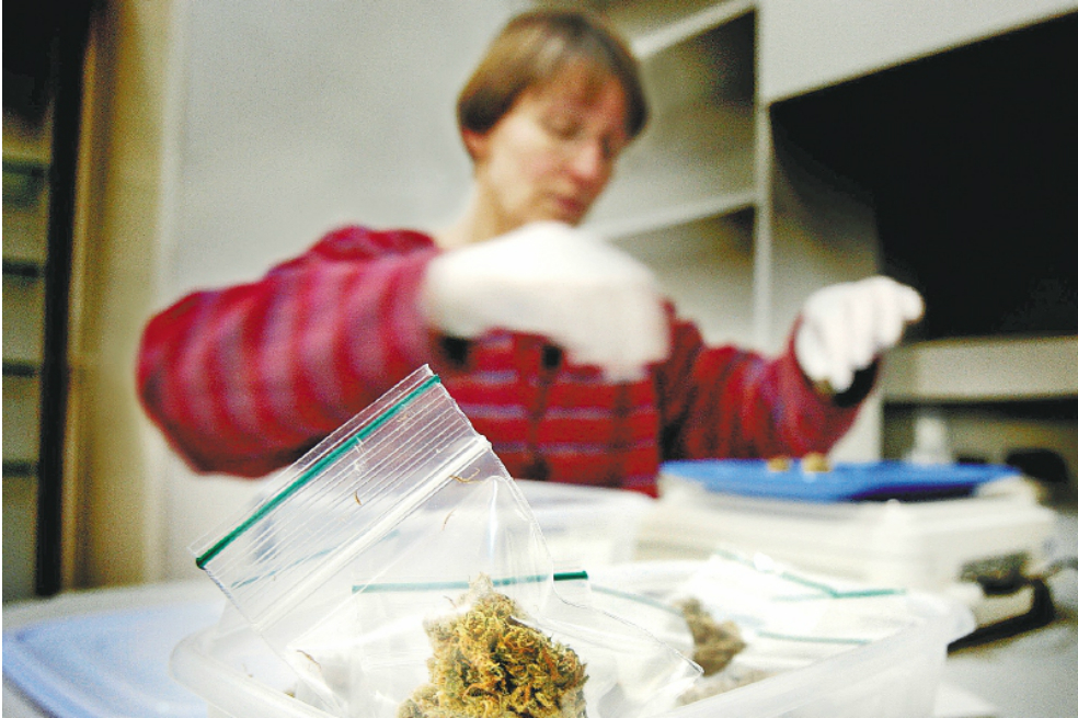 Marihuana medicinal, la industria para mejorar la calidad de vida