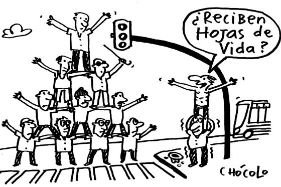 Hojas de vida